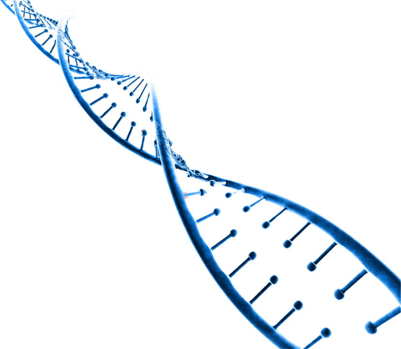 DNA decoration