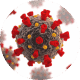 Somru SARS-COV-2 Response