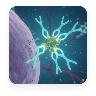 Ab27: Anti-VEGF